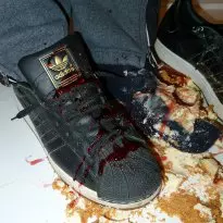 Adidas Superstar eats cheesecake